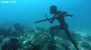 Bajau – the Real Water World People