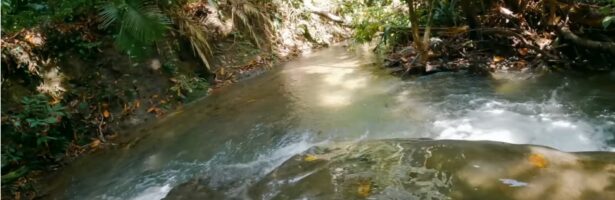 Exploring the Blue River and Wewali Waterfalls of Raja Ampat
